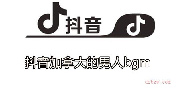 抖音加拿大的男人bgm