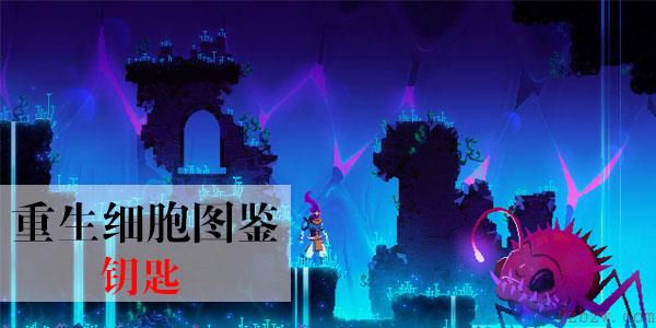 重生细胞钥匙汇总大全