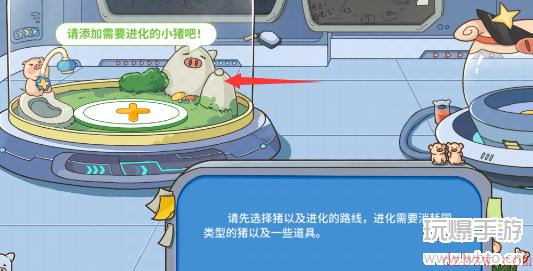 阳光养猪场怎么升品质