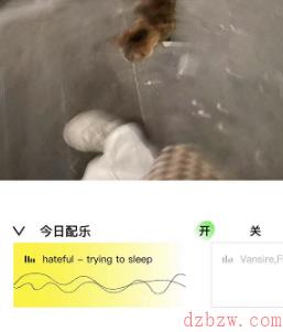 啫喱app动态怎么添加配乐