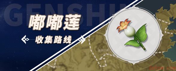 原神嘟嘟莲收集路线