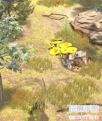 夺笋高手彩蛋大全