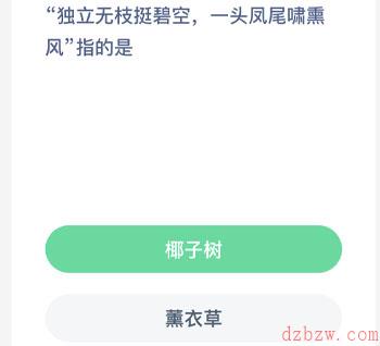 独立无枝挺碧空一头凤尾啸熏风指的是