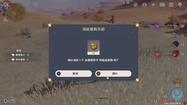 原神金蔷薇种子任务怎么做