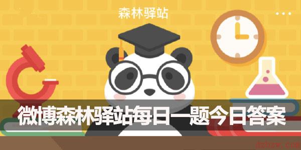 森林驿站12.4答案