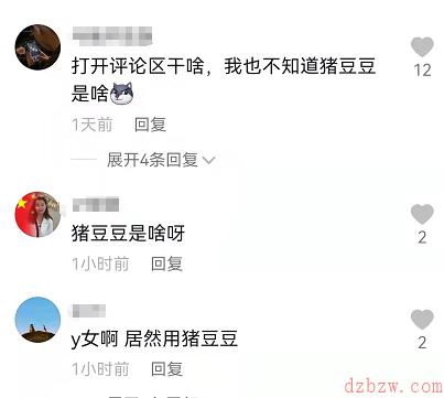 抖音猪豆豆是什么意思