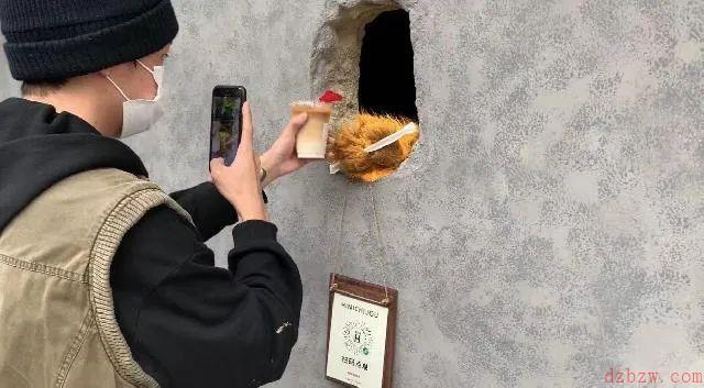 抖音熊爪咖啡什在哪里