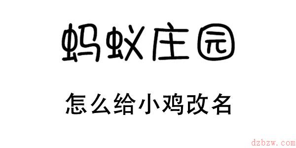 蚂蚁庄园的小鸡怎么改名字