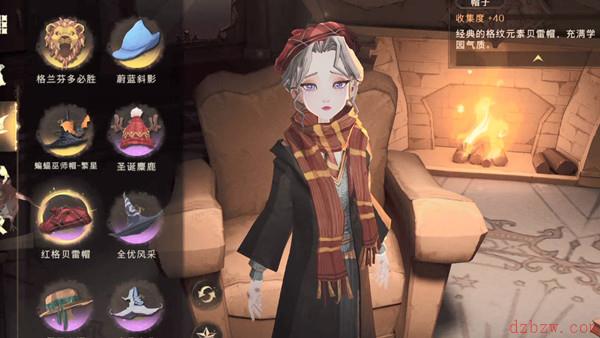 哈利波特魔法觉醒怎么共享衣服