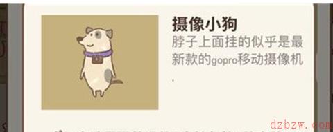 动物餐厅摄像小狗为什么不来
