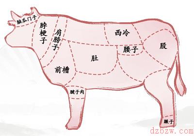 汉字找茬王看图辨位通关攻略
