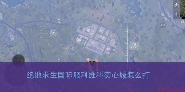 绝地求生国际服利维科实心城怎么打