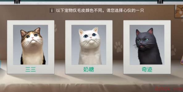 黎明觉醒宠物系统怎么解锁