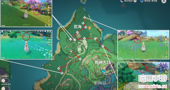原神绯樱绣球收集路线