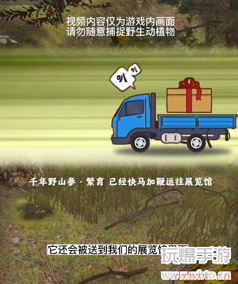 夺笋高手展览馆怎么配馆长