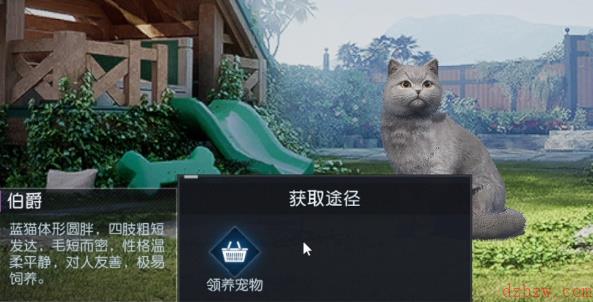 黎明觉醒宠物系统怎么解锁