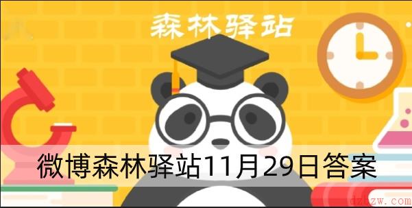 森林驿站11.29答案