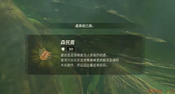 王国之泪纳末敏的寻宝游戏迷你挑战攻略