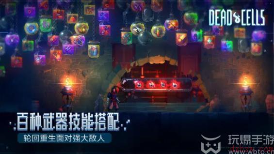 重生细胞最新激活码