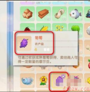 摩尔庄园葡萄在哪