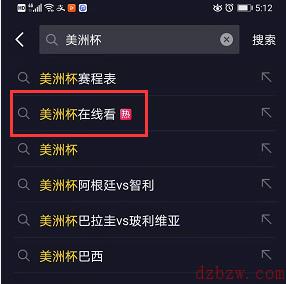 可以看美洲杯的软件有哪些