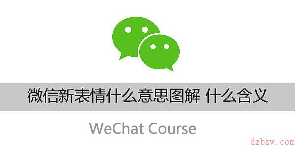 微信新表情什么意思图解