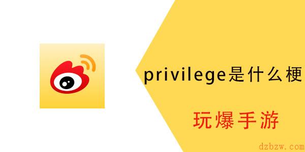 privilege是什么梗