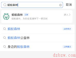 支付宝蚂蚁森林元宵花灯挂件怎么设置