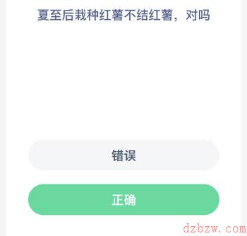 夏至后栽种红薯不结红薯对吗