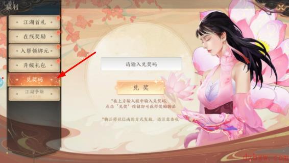 天龙八部2飞龙战天兑换码在哪输入