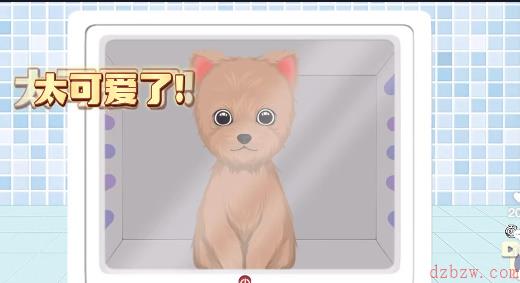 收纳物语狗狗spa通关攻略