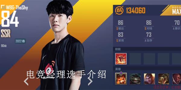 英雄联盟电竞经理theshy怎么样
