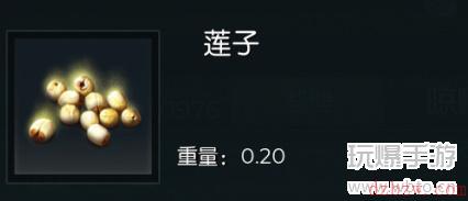 黑暗与光明手游种子获取攻略