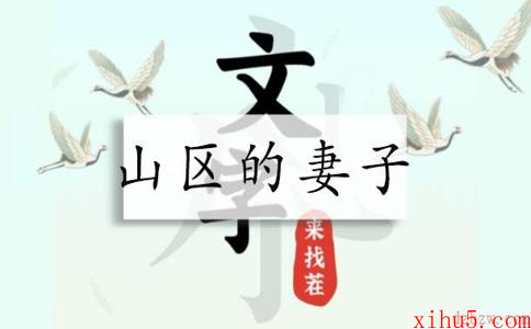文字来找茬山区的妻子攻略