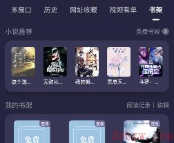 bingo搜索书架记录在哪去看